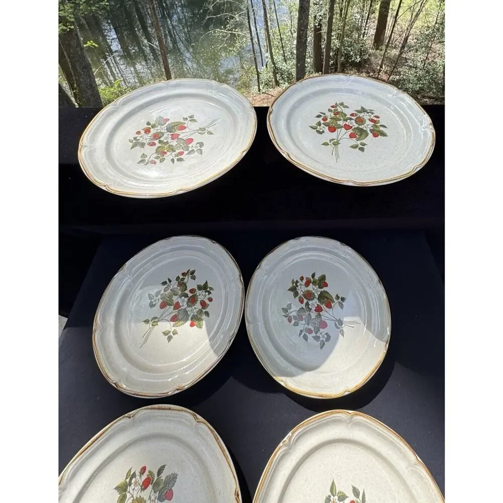 6 Vintage 1960’s Endura Collection LA FRAISE Strawberries 10.5